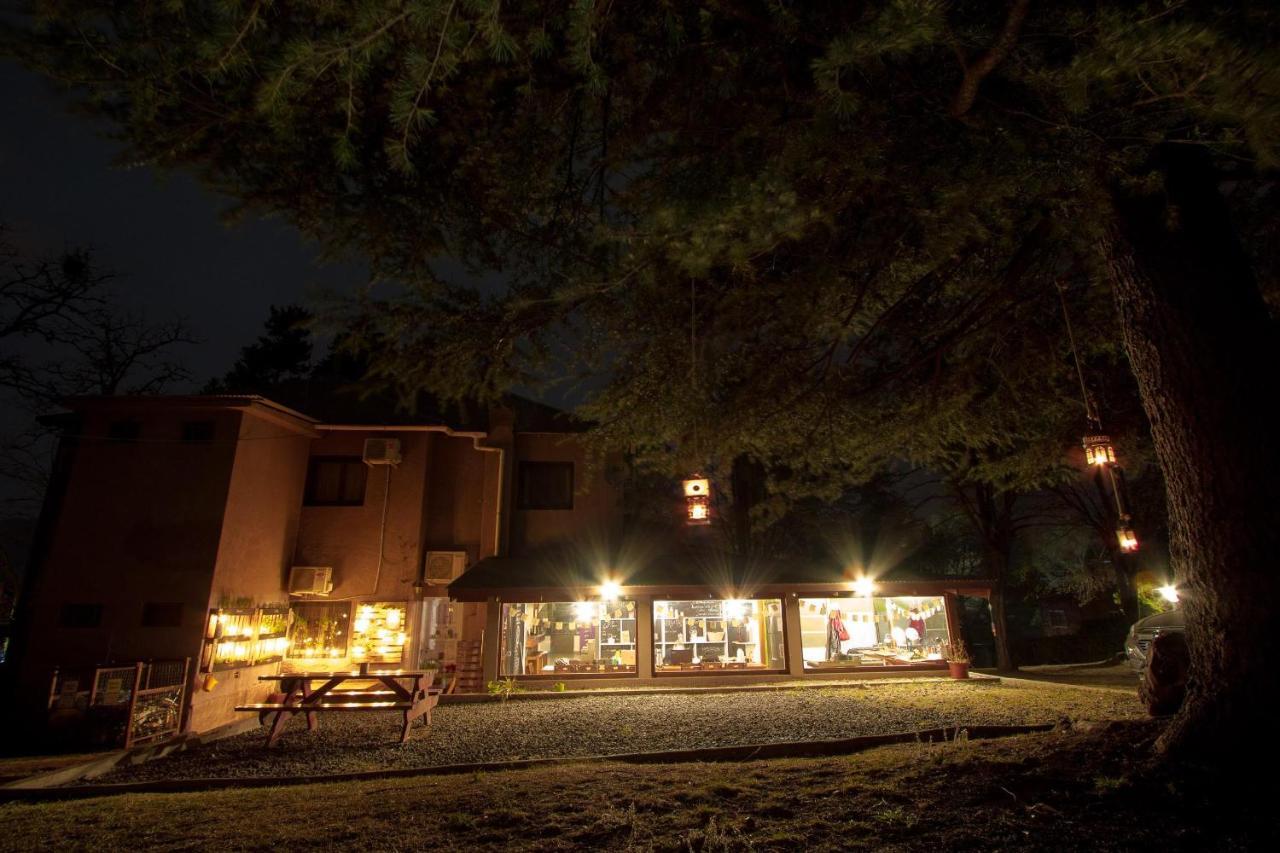 The Hostelhouse Centro. Casa De Huespedes. ビジャ・ヘネラル・ベルグラーノ エクステリア 写真